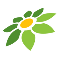 LINK INDOFOL